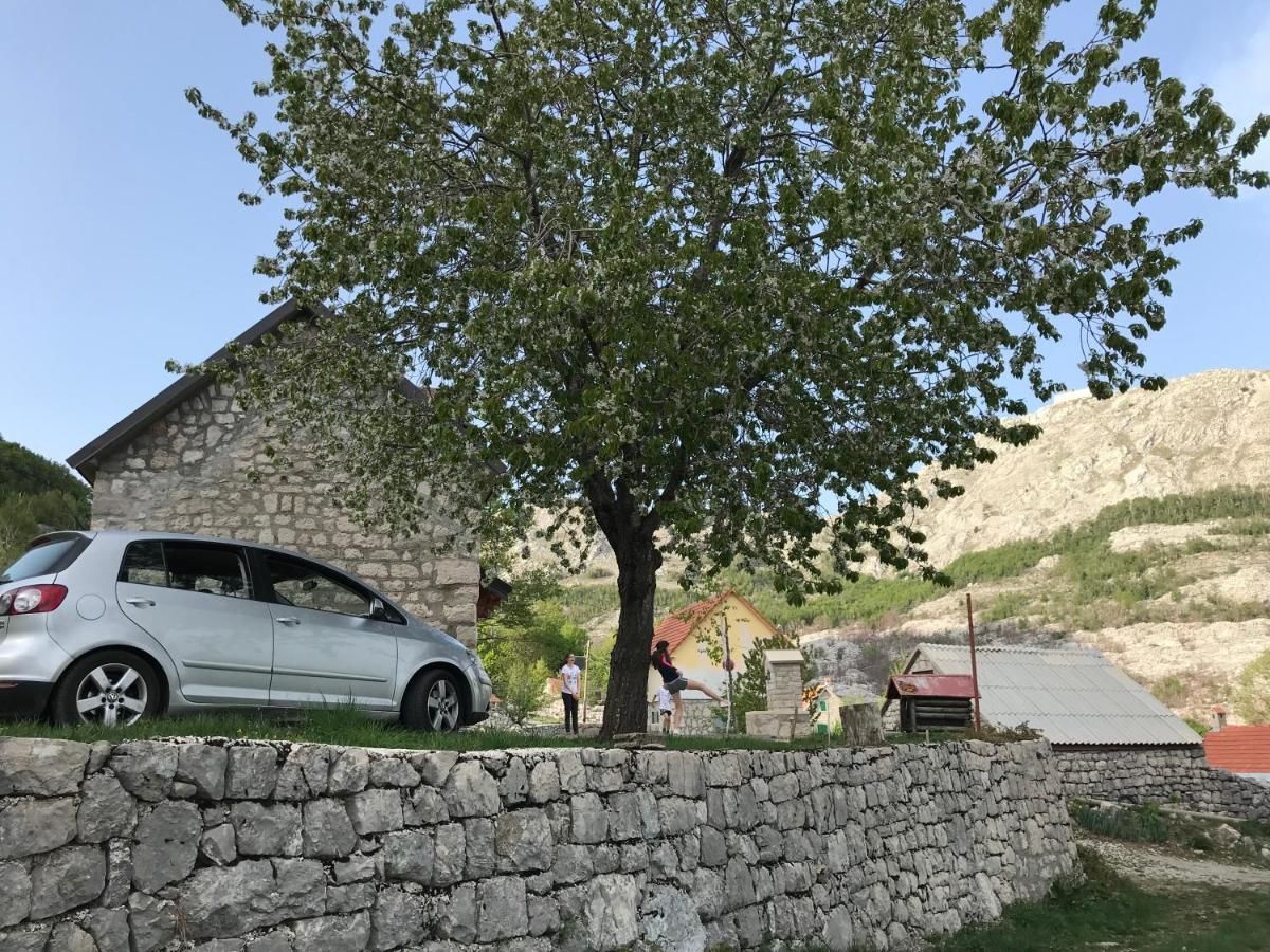 Дома для отпуска Lovcen Holiday Home Цетине