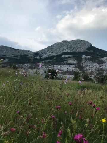 Дома для отпуска Lovcen Holiday Home Цетине