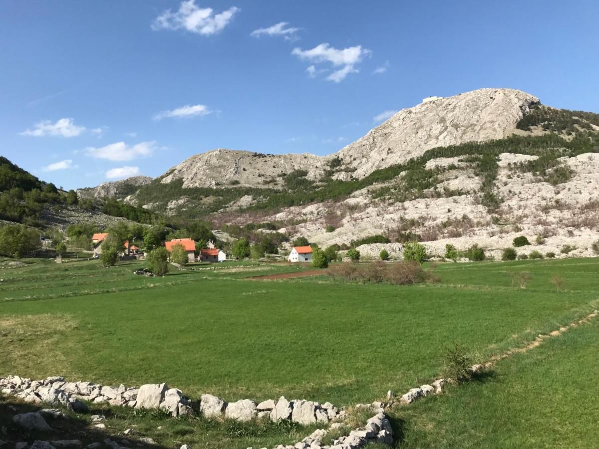 Дома для отпуска Lovcen Holiday Home Цетине
