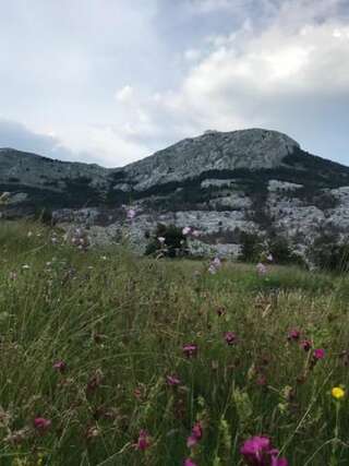 Дома для отпуска Lovcen Holiday Home Цетине Дом для отпуска-22